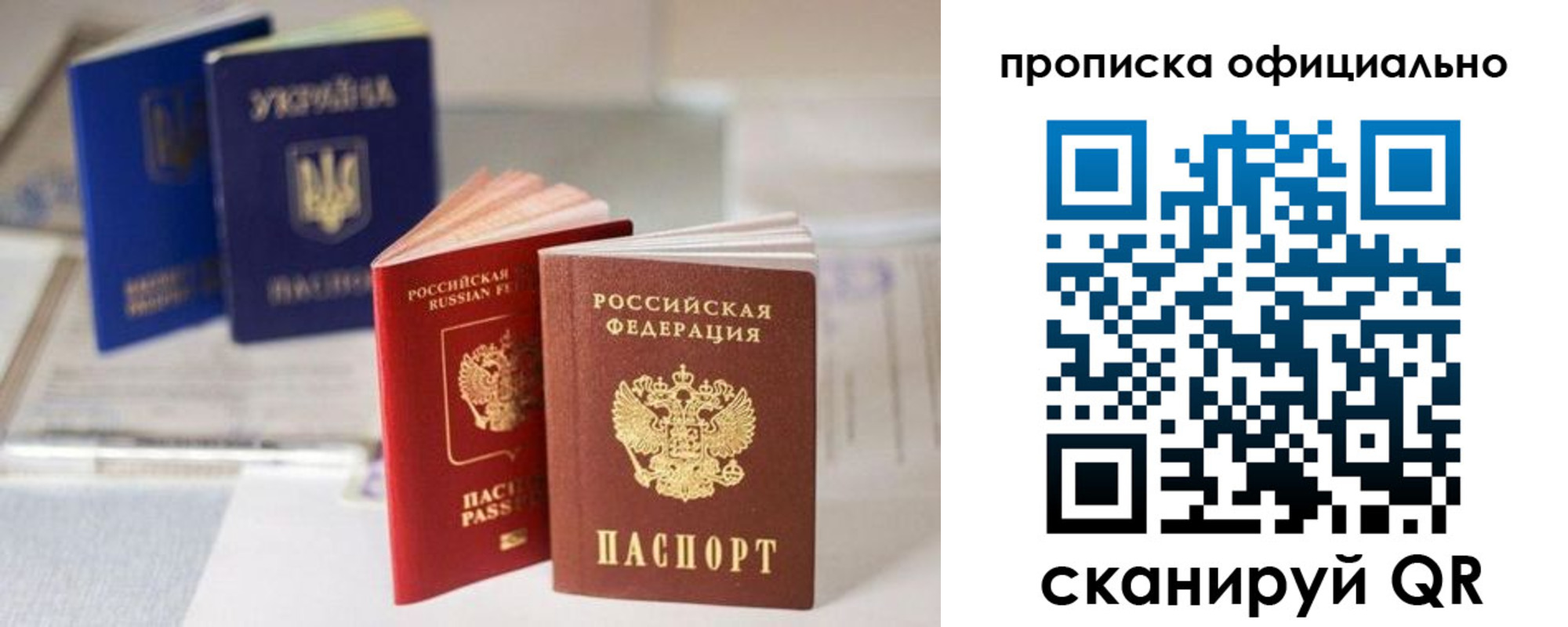 прописка поиск в Зиме