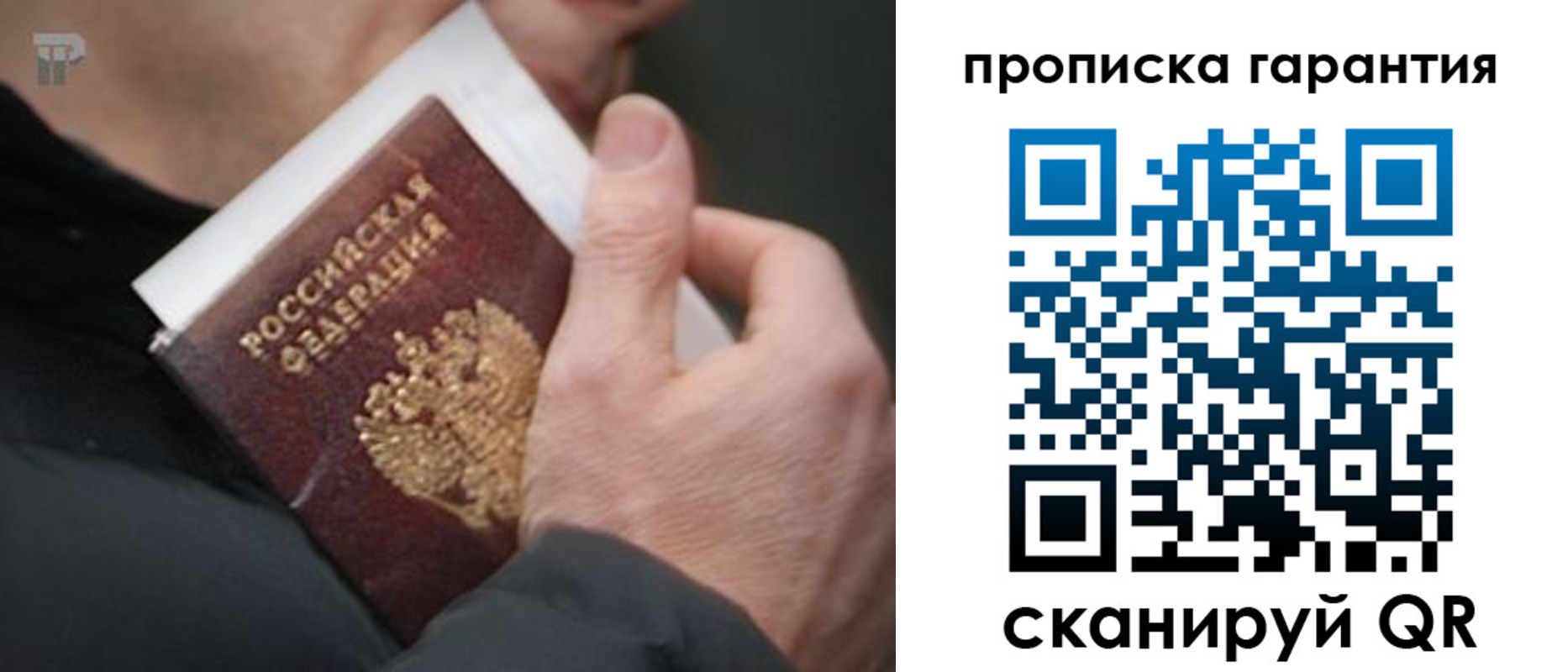 временная регистрация для всех в Зиме
